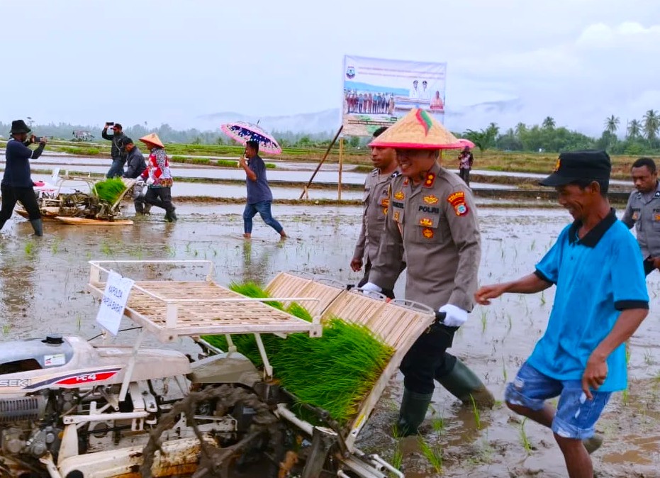 Kapolres Mansel hadiri penanaman padi di Oransbari