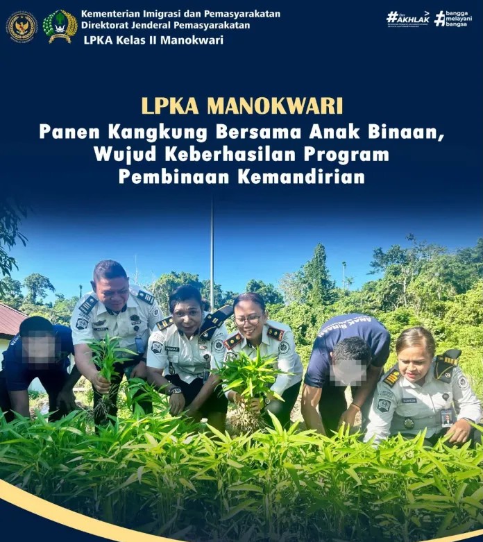 panen kangkung hasil tangan1